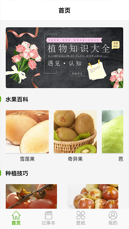 黄果树知识(2)