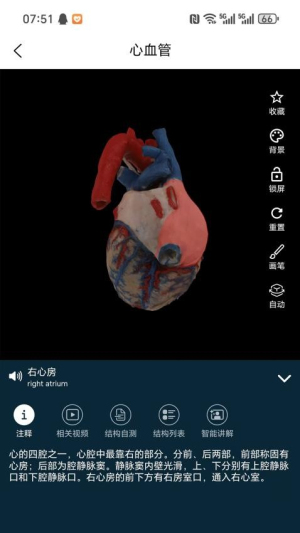 云解剖(2)