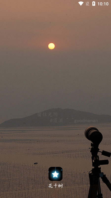 花千树(2)