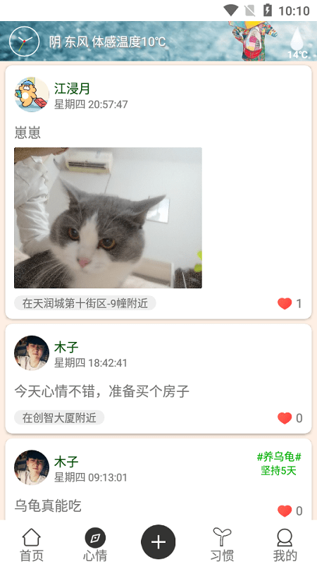 花千树(3)