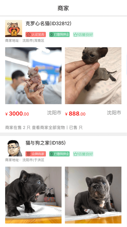猫行狗市宠物交易市场(1)