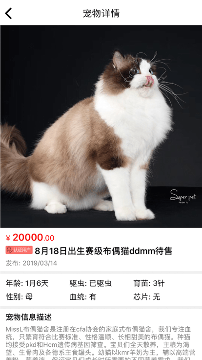 猫行狗市宠物交易市场(2)
