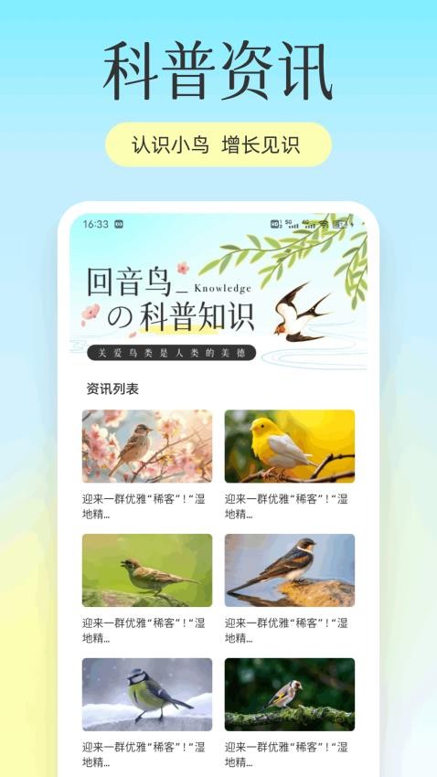 回音鸟儿(1)