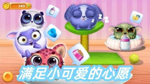 训宠达人(1)