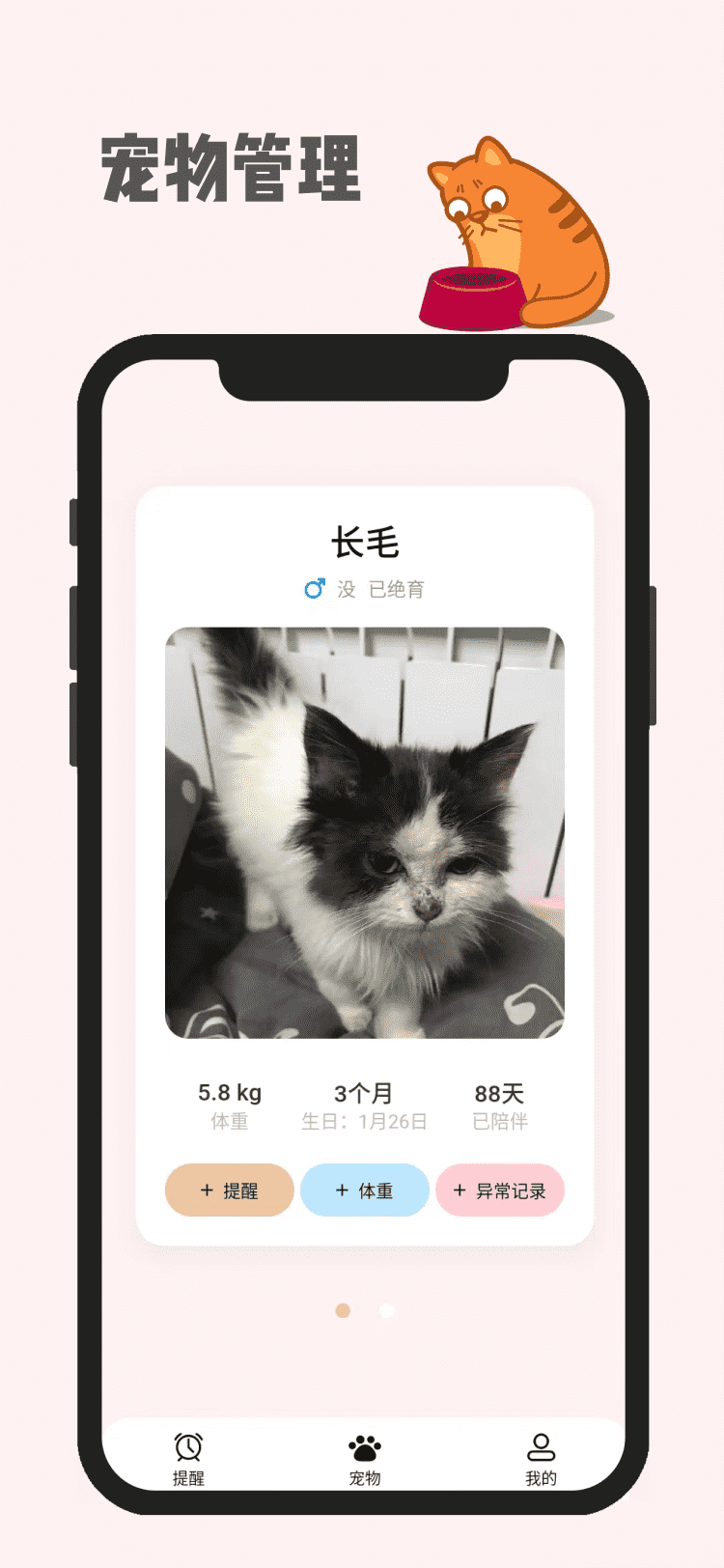 宠物助手(1)