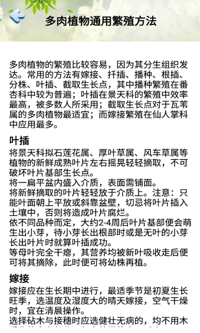 花草多肉日记(1)