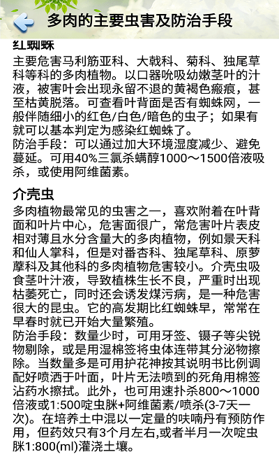 花草多肉日记(3)