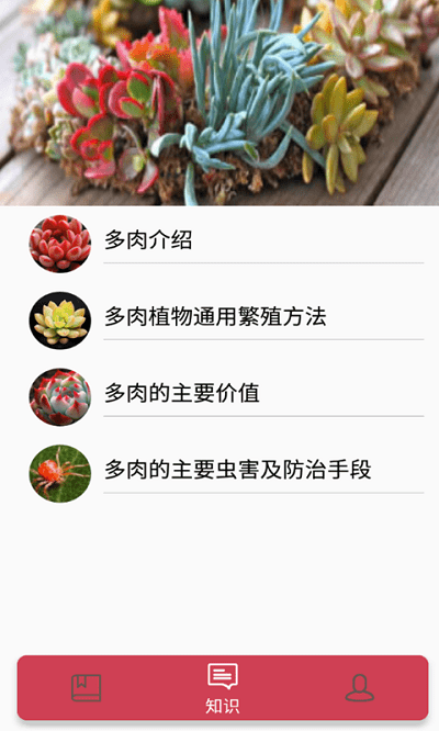 花草多肉日记(2)