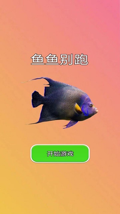 鱼鱼别跑(2)