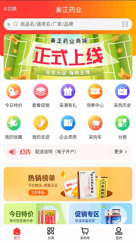 秦正药业(1)