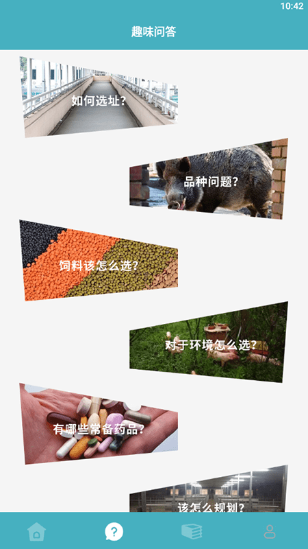 养猪能手(2)