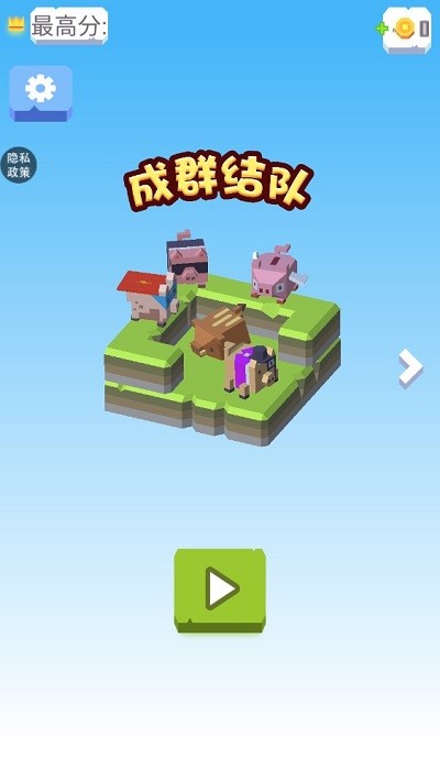 成群结队(3)