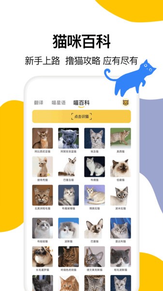 猫语翻译大全(1)