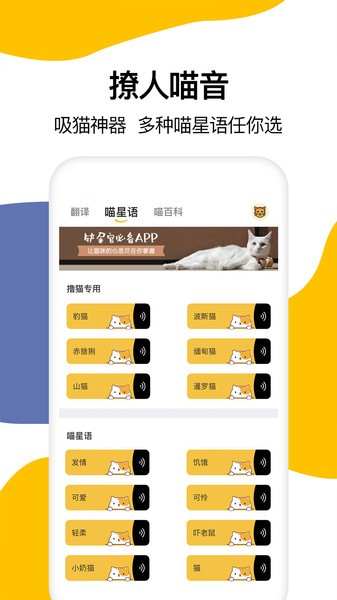 猫语翻译大全(3)