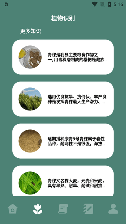 种植物语(3)