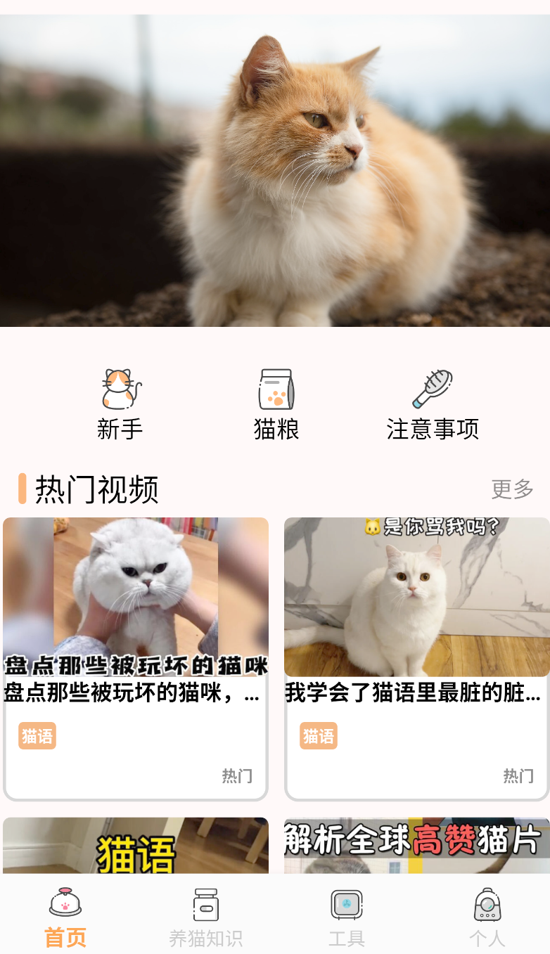 喵上(3)