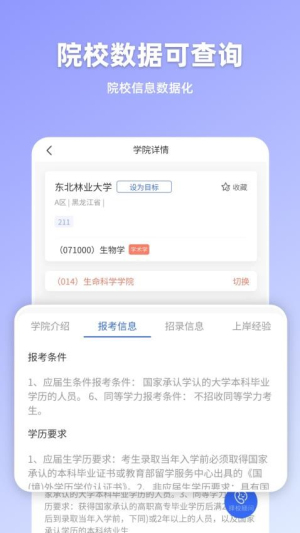 嘉分帽(2)