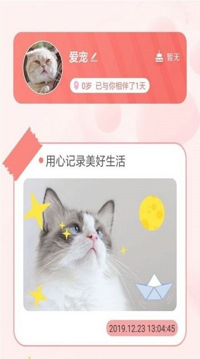 宠物养成记(1)