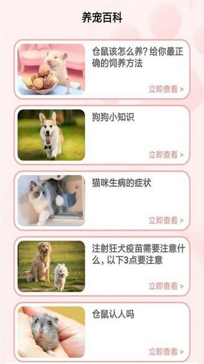 宠物养成记(3)