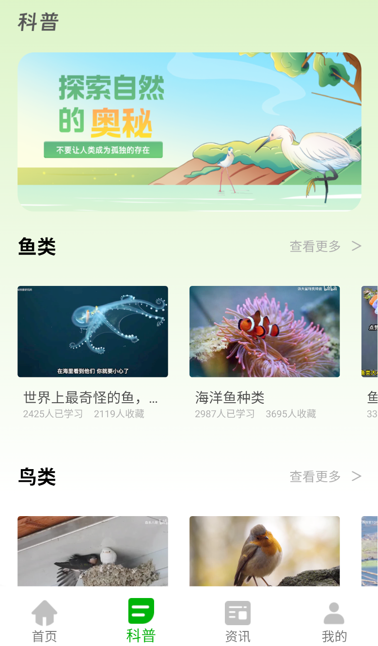 动物世界大全(2)