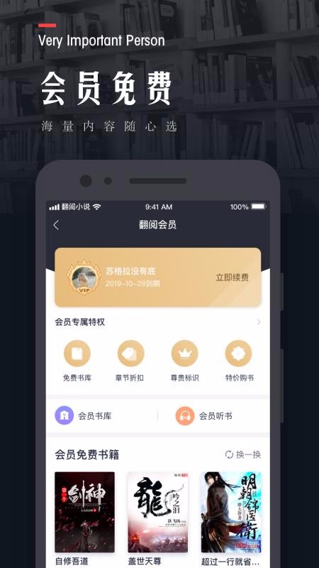 翻阅小说(4)