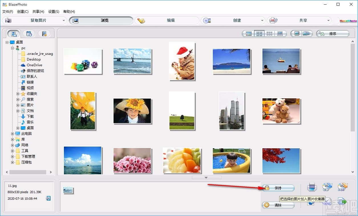 BlazePhoto Professional(图像管理软件)