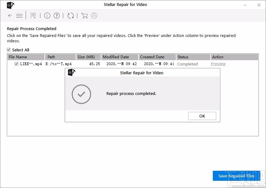 Stellar Repair for Video(视频修复软件)