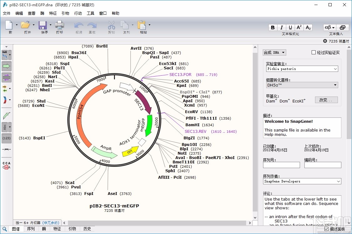 SnapGene(分子生物学软件)