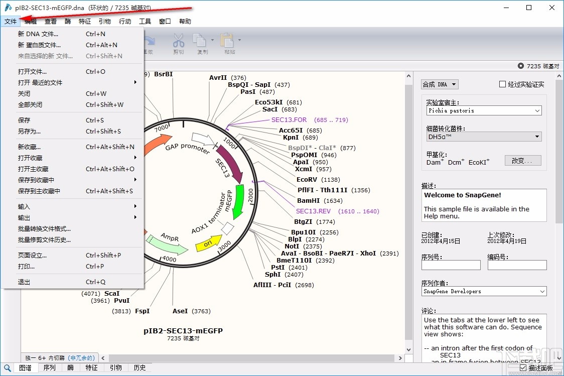 SnapGene(分子生物学软件)