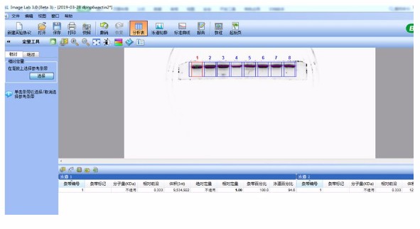 imagelab分析Western Blot条带的方法