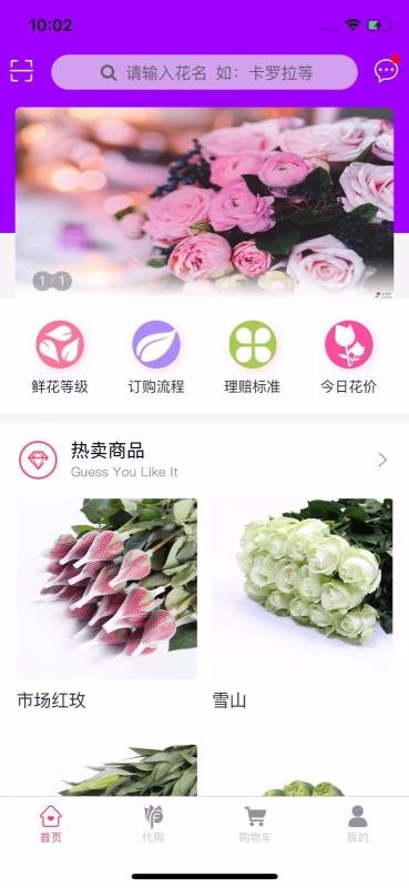 嘉佳花卉鲜花批发一件代发4