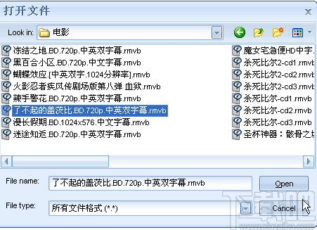 枫叶MOV格式转换器