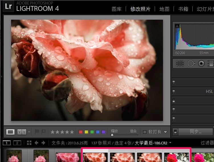 Adobe Light Room批量处理图片的方法