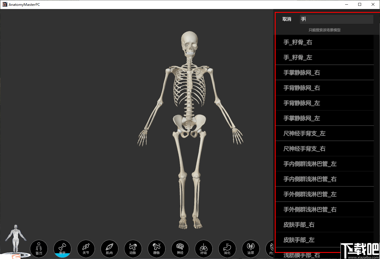 解剖大师(人体建构3d模型)