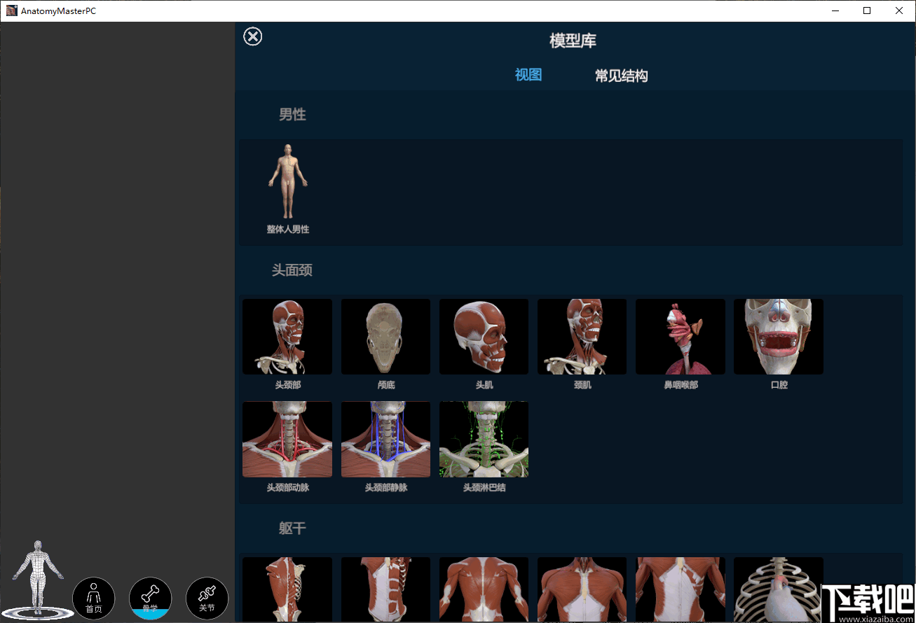 解剖大师(人体建构3d模型)