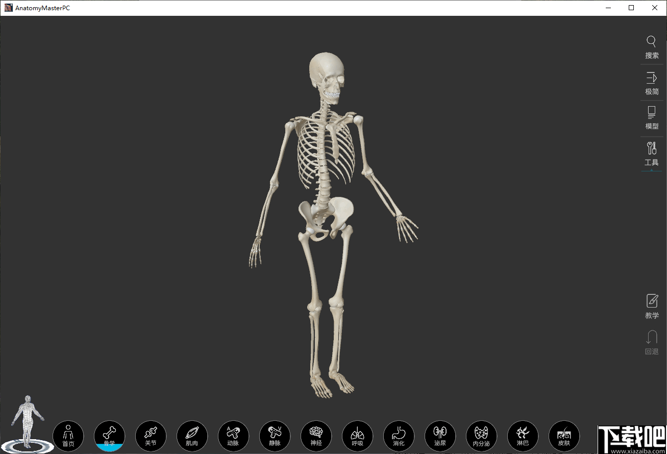 解剖大师(人体建构3d模型)