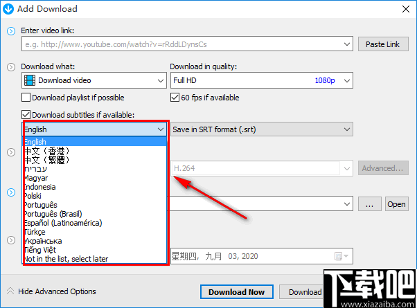 Any Video Downloader Pro(全网视频下载)