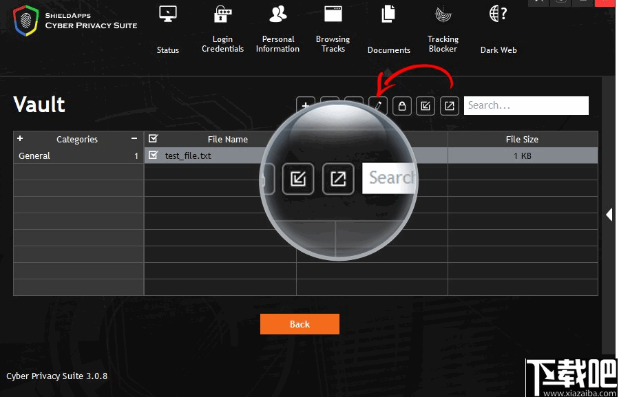 Cyber Privacy Suite(上网安全软件)