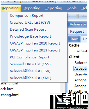 Netsparker(web应用漏洞扫描工具)