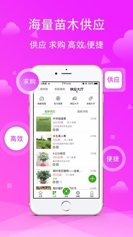 苗木之家(1)