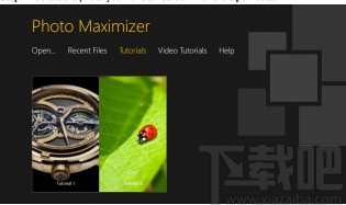 InPixio Photo Maximizer Pro(图片无损放大软件)