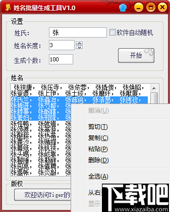 姓名批量生成工具