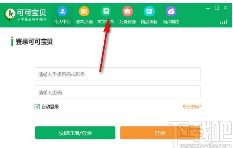 可可宝贝