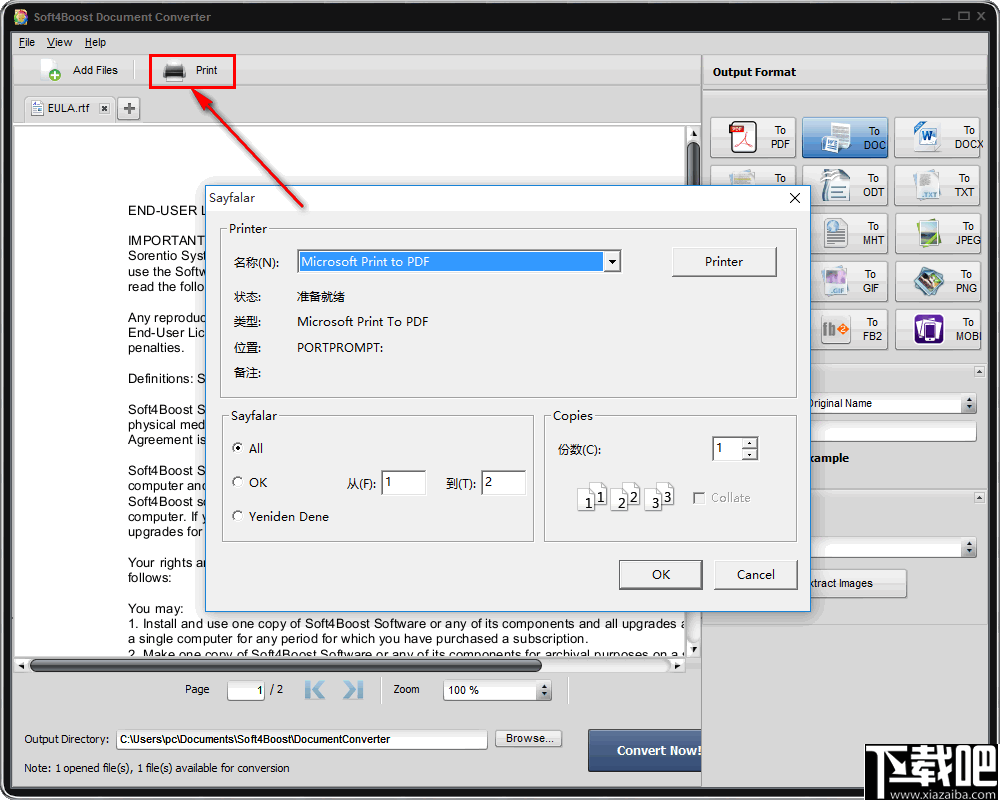 Soft4Boost Document Converter(文档转换器)