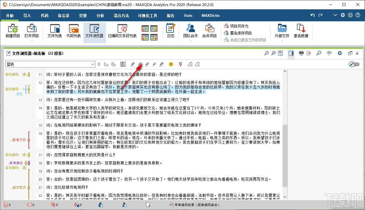 MAXQDA Analytics Pro 2020(质性分析软件)