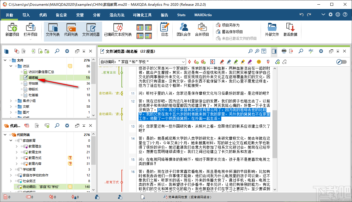 MAXQDA Analytics Pro 2020(质性分析软件)