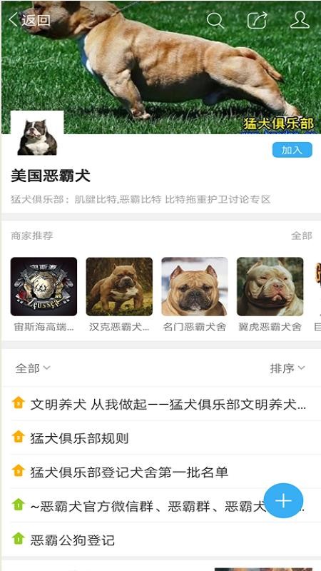 猛犬俱乐部(2)