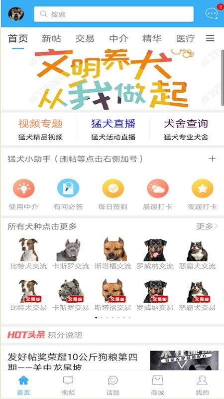 猛犬俱乐部(1)