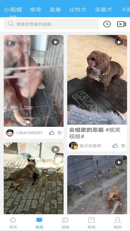 猛犬俱乐部(3)