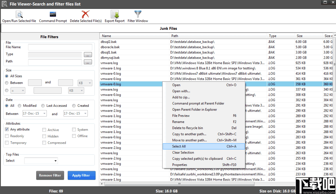 Disk Analyzer Pro(磁盘分析工具)